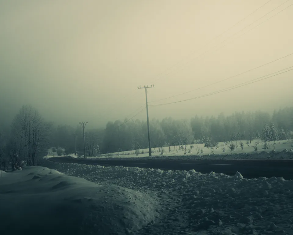 The two-lane road curving past utility poles into the misty treeline