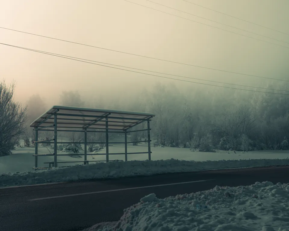 An empty frost-dusted roadside shelter beside the road, pines dissolving in fog