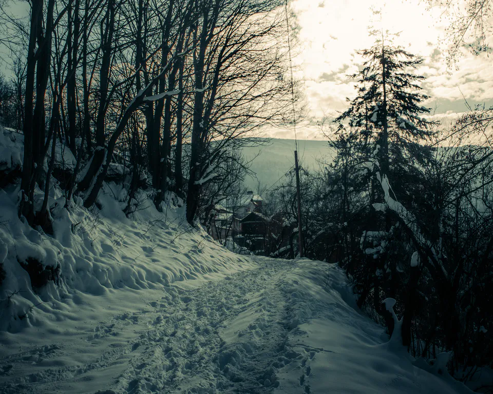 The forest path descending toward distant rooftops, sun flaring through cloud