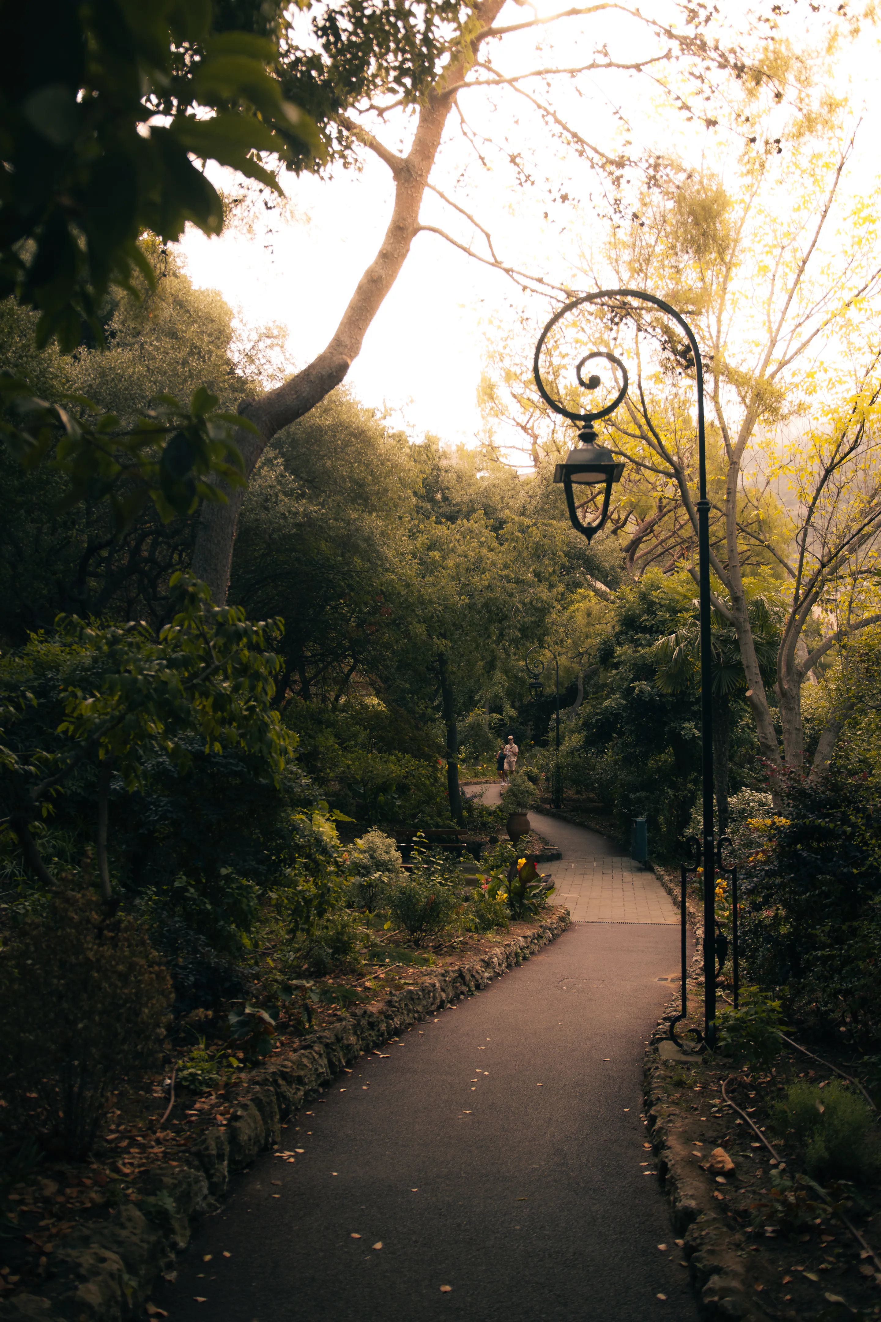 Stone path curving through dense green toward two distant figures