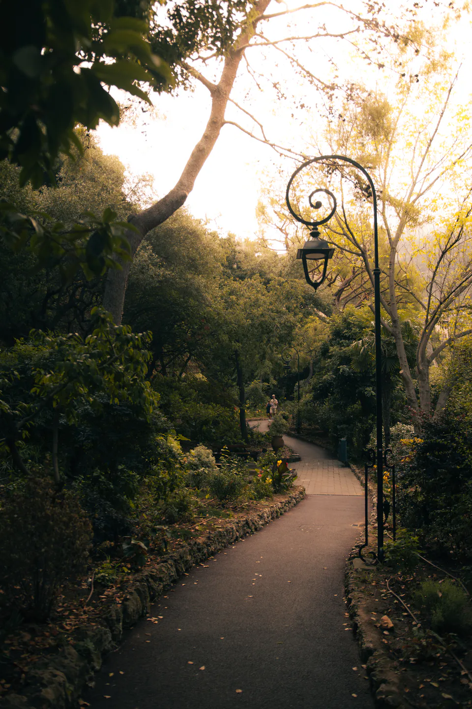 Stone path curving through dense green toward two distant figures