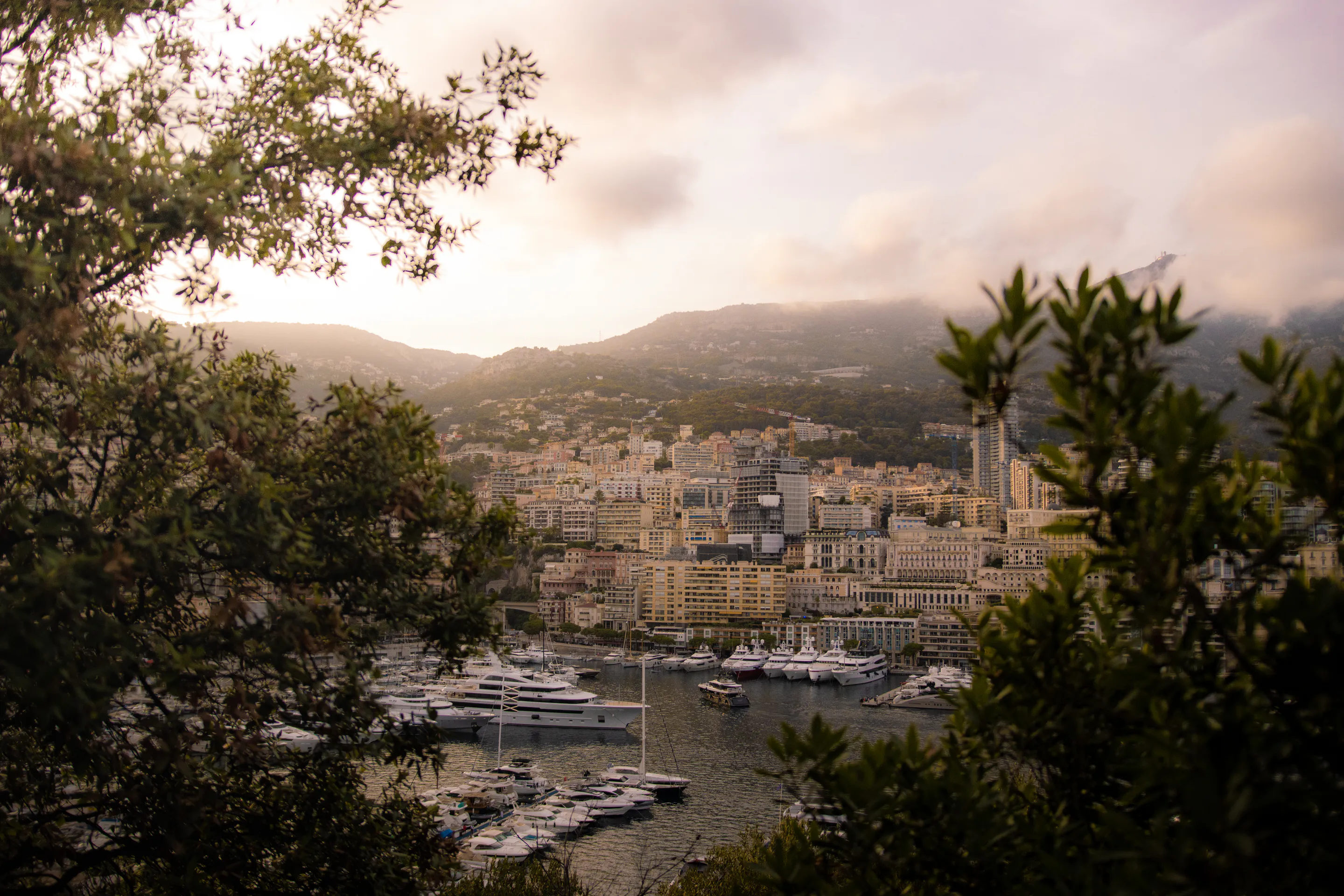 The marina framed both sides by dark branches, cloud on the peak